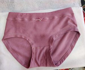 New Fancy Brief