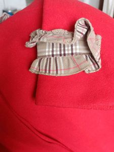 Red Coat with Plaid Collar