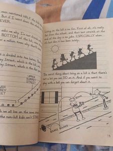 Diary of a Wimpy Kid: The Meltdown