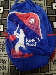 Original Skybags Cricket Themed Blue Backpack