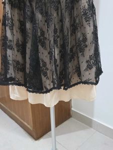 Elegant Lace Sheer Dress