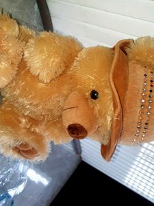 Cute Teddy Bear with Hat