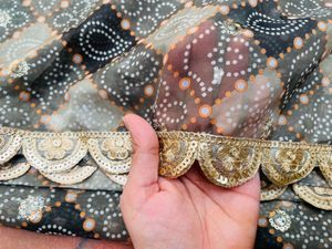 Elegant Lehenga Choli Set