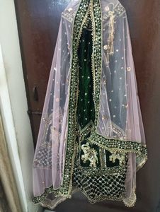 Embellished Elephant Lehenga Choli