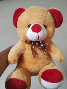 Cute Teddy Bear