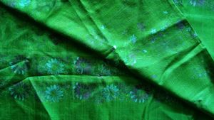 Lightweight Floral Print Saree