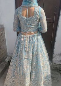 Blue Embellished Lehenga Choli
