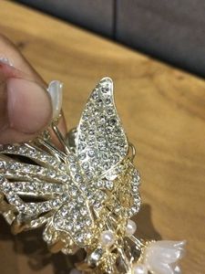 Elegant Butterfly hair clutcher