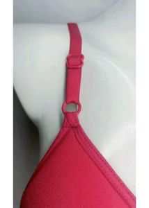 women everyday padded bra