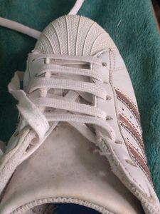 women Addidas