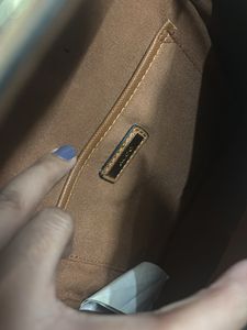 Aldo Brown Sling Bag