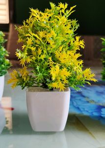 Any 1 Artificial Plant