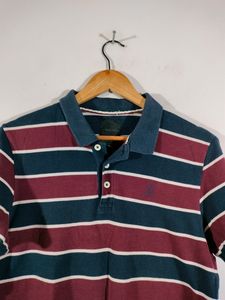 Multicolour Striped T Shirt (Men's)