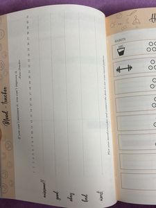 New Dairy. Organizer. Journal.