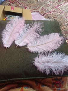 Feather For Nikkha Pen