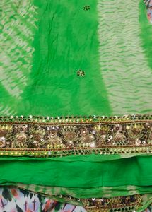 Saree with Embellished Border