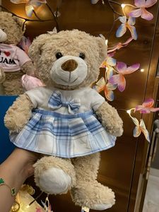 Adorable Teddy Bear with Dress