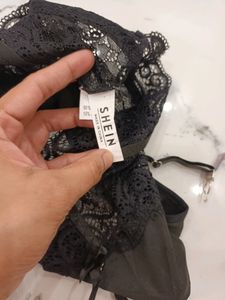 Shein Brief