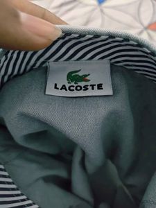 primium Lacoste Button-Down casual grey Shirt
