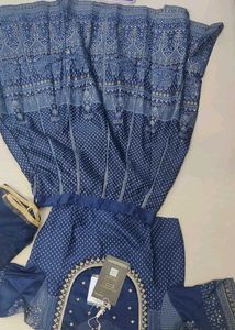 4 New Elegant Pastel Lehenga Choli Set