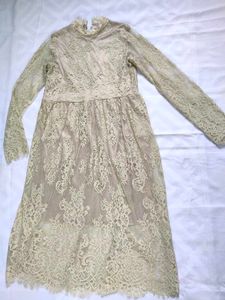Elegant Lace Dress