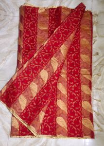 Dual Colour Designer Saree For Festivals