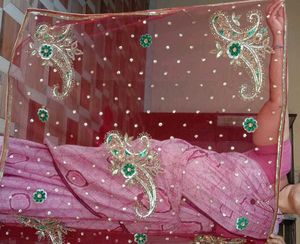 Chiffon +net Pallu With Shining