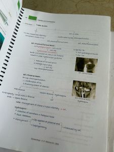 MARROW Edition 8 OBGYN notes COMBO.