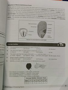 NEET UG Class 11 Biology Books Set