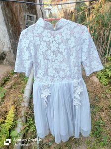 Elegant  Lace Dress