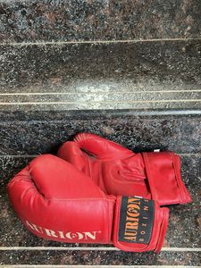Aurion Boxing Gloves