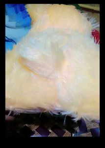 Cute Yellow Teddy Bear Toy
