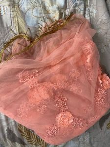 Peach Floral Embellished Net Dupatta