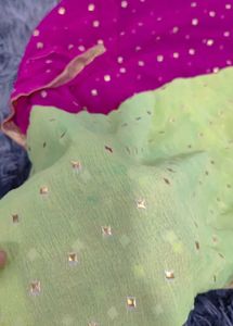 Vibrant Rani &amp; Sea Green New Duppata