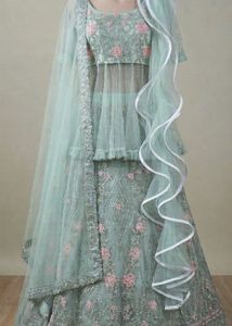 New Lehenga And Crop Top