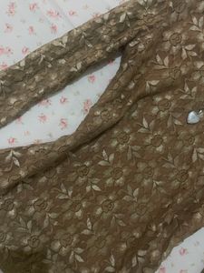 Sheer Lace Long Sleeve Top
