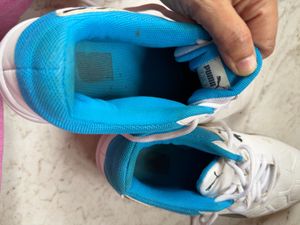 Puma Tenaz Indoor Badminton/Gym Shoes (UK 7)