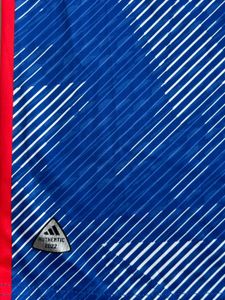 Japan Football Jersey 2022 Authentic One