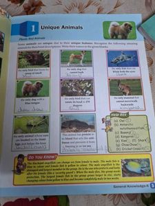 Set of 3 School Books - GK, Science, Hindi