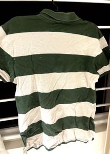 Classic Forest Stripe Polo 💚