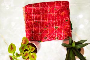 Chunri Print Saree