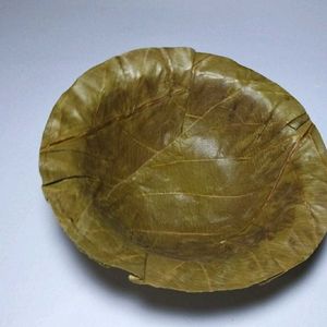 Siali Leaf Eco Friendly Disposable Bowls 50