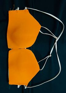Vibrant Orange bra