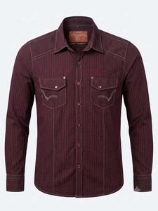 Men's Striped Western Shirt