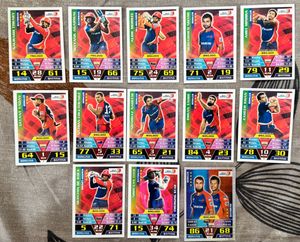 Complete Silver and Base Cricket Attax 2