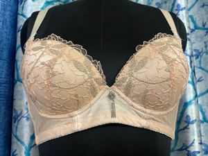 Elegant Lace Padded Bra with embroidery