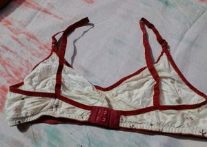 Cute Printed Bra