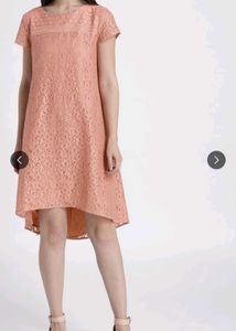 Elegant Lace Dress