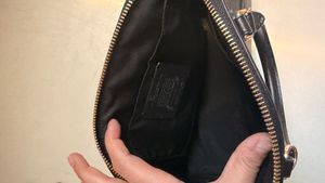 coach hand bag