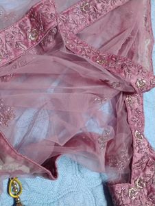 Pink Embroidered Lehenga Skirt